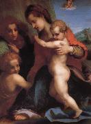 Andrea del Sarto The Virgin and Child with St. John childhood, as well as two angels oil painting